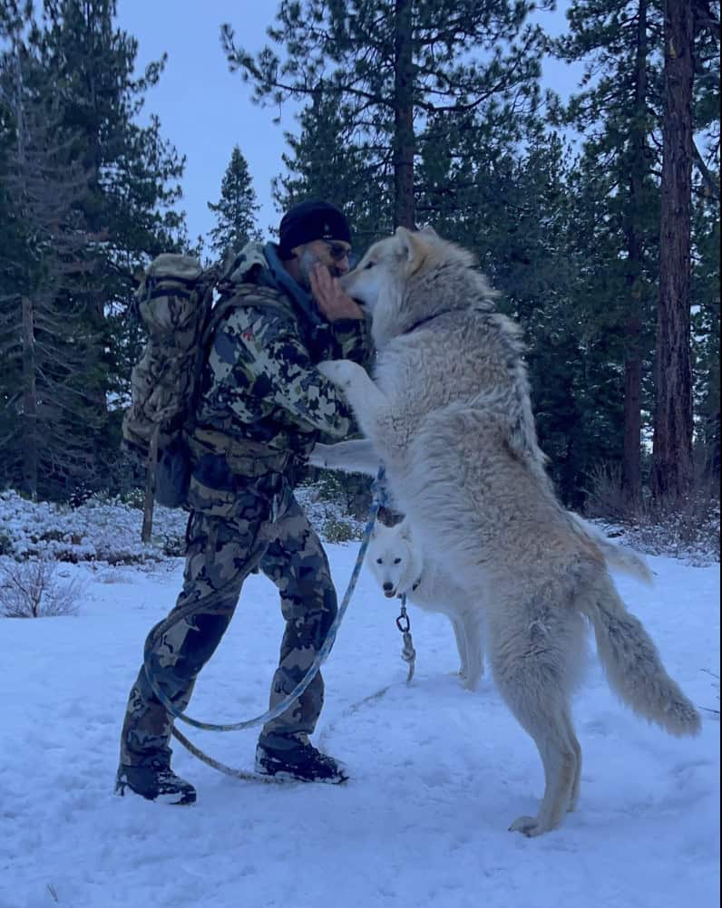 AA1OSVUW What Wolves Can Teach You About Survival