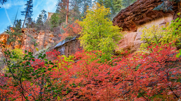 Why Leaf Peepers And Nature Lovers Will Love Visiting Sedona, Arizona ...