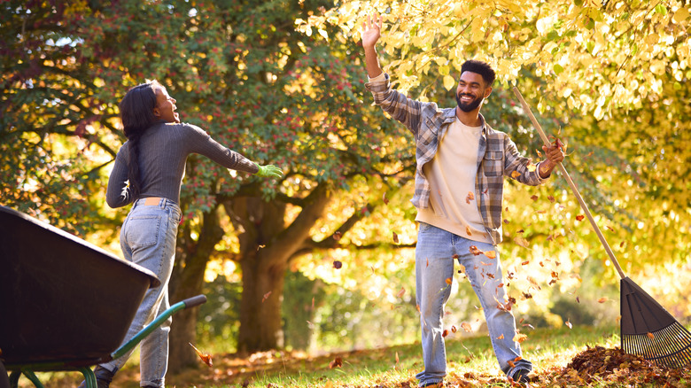 Is Your Rake Doing A Bad Job At Raking The Leaves In Your Yard? It ...