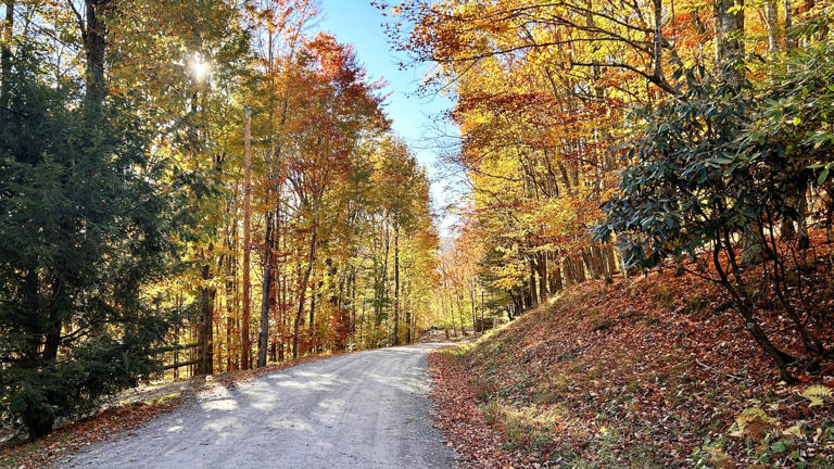 Fall leaf peeping season marks triumphant return to Blue Ridge Parkway Fall leaf peeping season marks triumphant return to Blue Ridge Parkway