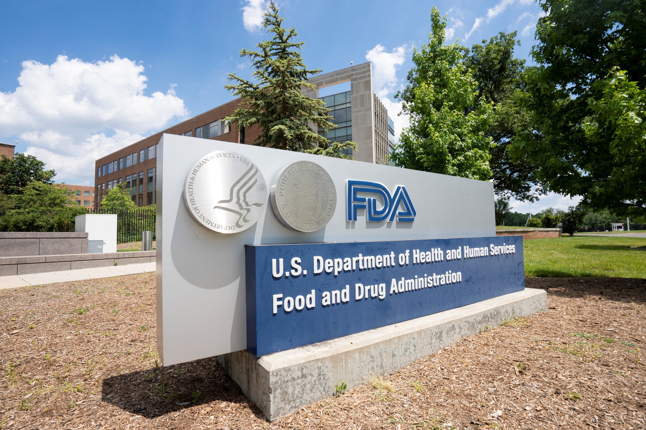 FDA’s latest CGT guidance streamlines path for in vivo CAR-T development