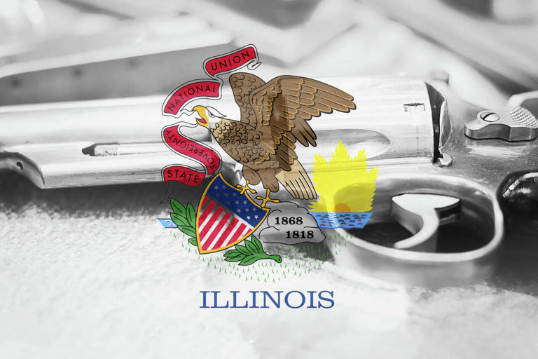 Illinois bill would give gun owner, conceal IDs lifetime validity