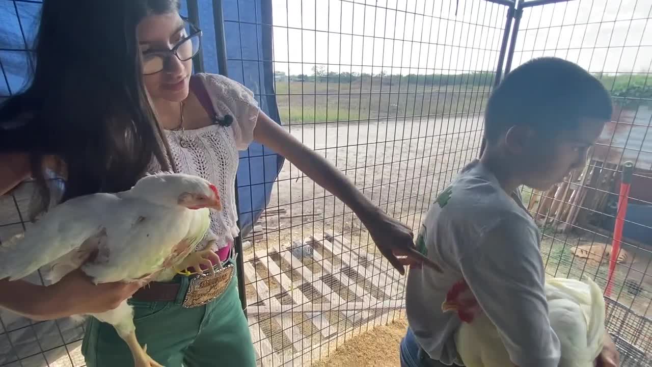 Jim Wells County Fair showcases young exhibitors' dedication to ...