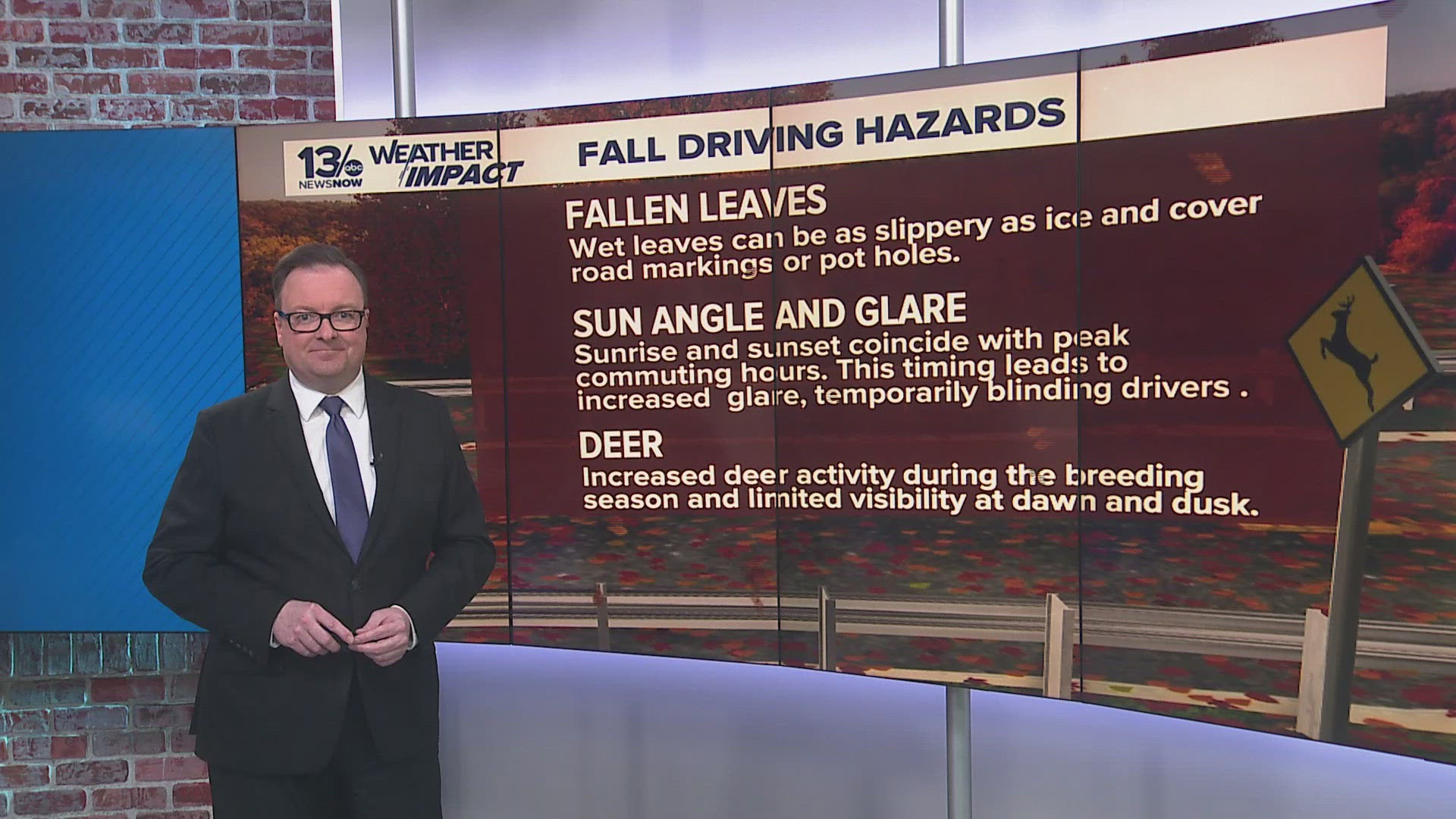 Watch for fall driving hazards including deer and wet leaves on the road