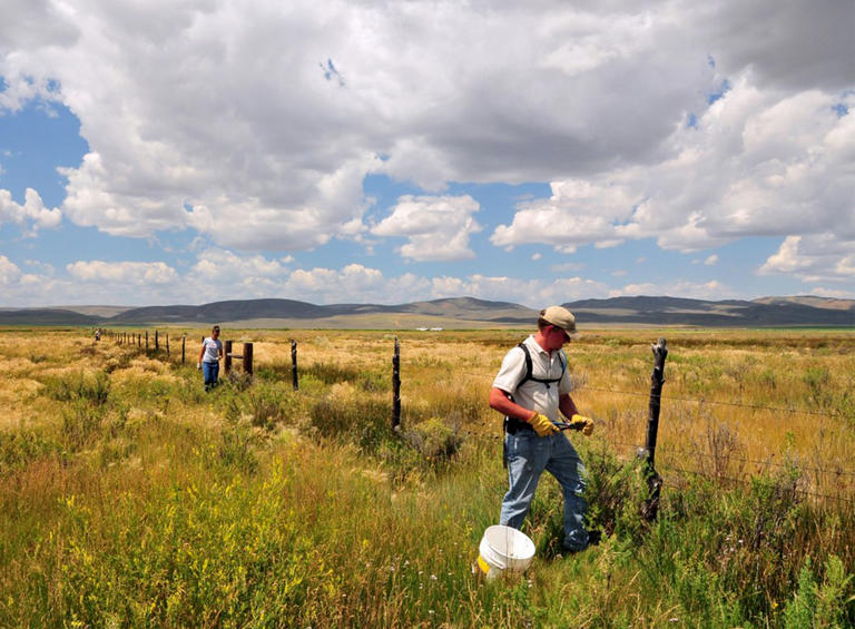 Federal workers remove old barbed wire fences at a National Wildlife Refuge in Wyoming. Photo by Keith Penner / USFWS