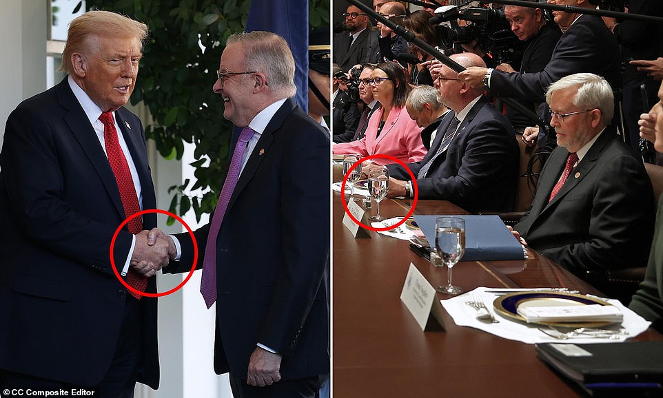Body language expert analyzes Rudd's response to Trump