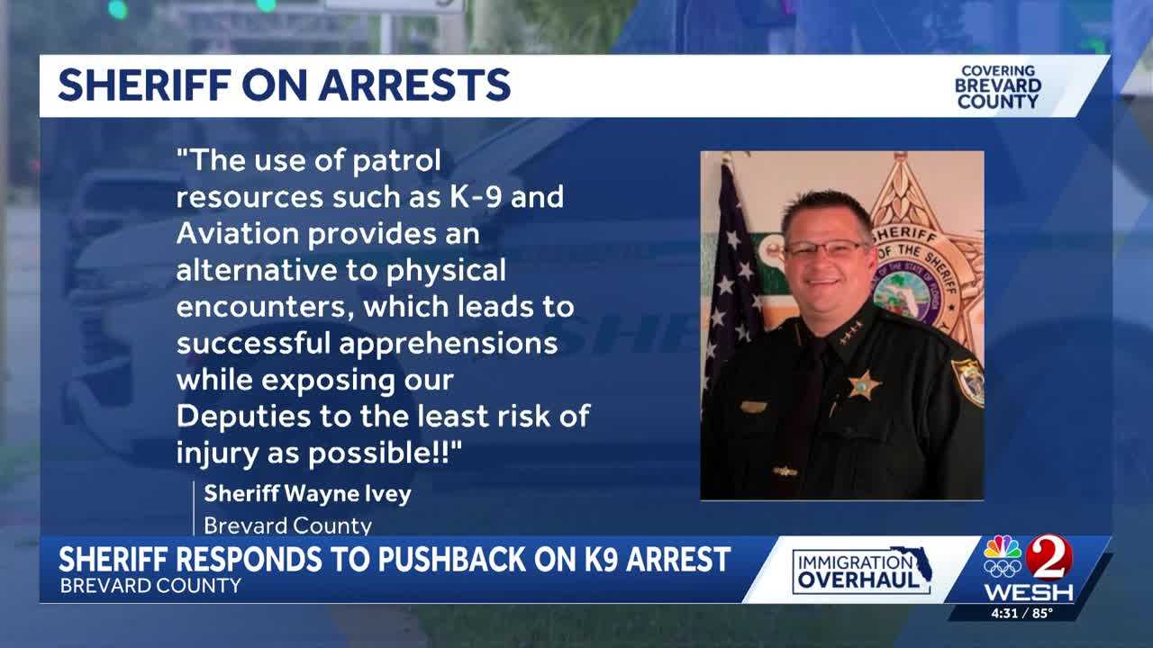 Brevard County sheriff responds to pushback on K9 arrest