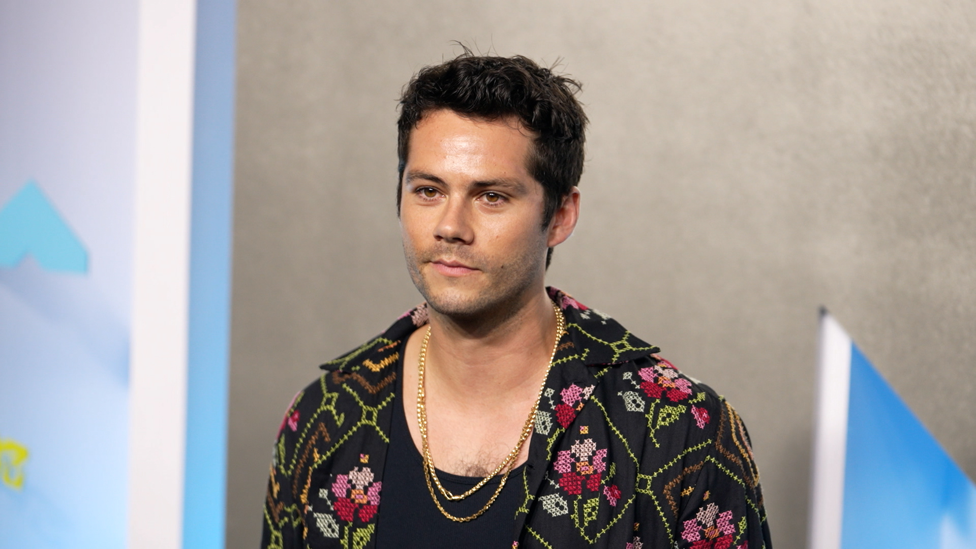 Dylan O&amp;#39;Briens unerwarteter Aufstieg, YouTube, Teen Wolf und ein Taylor ...