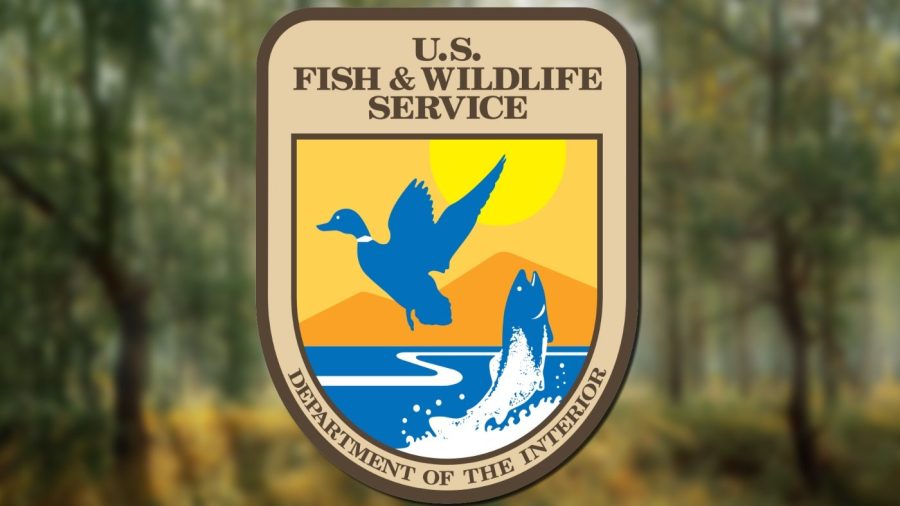Planned Trump staffing cuts loom over National Park Service, Fish and ...