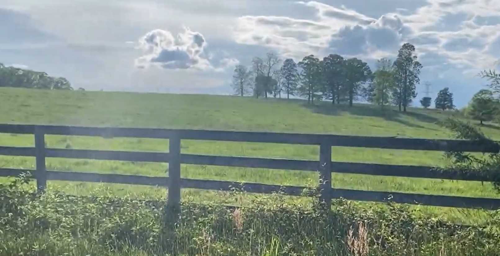 City council approves annexation for housing development in Pickens