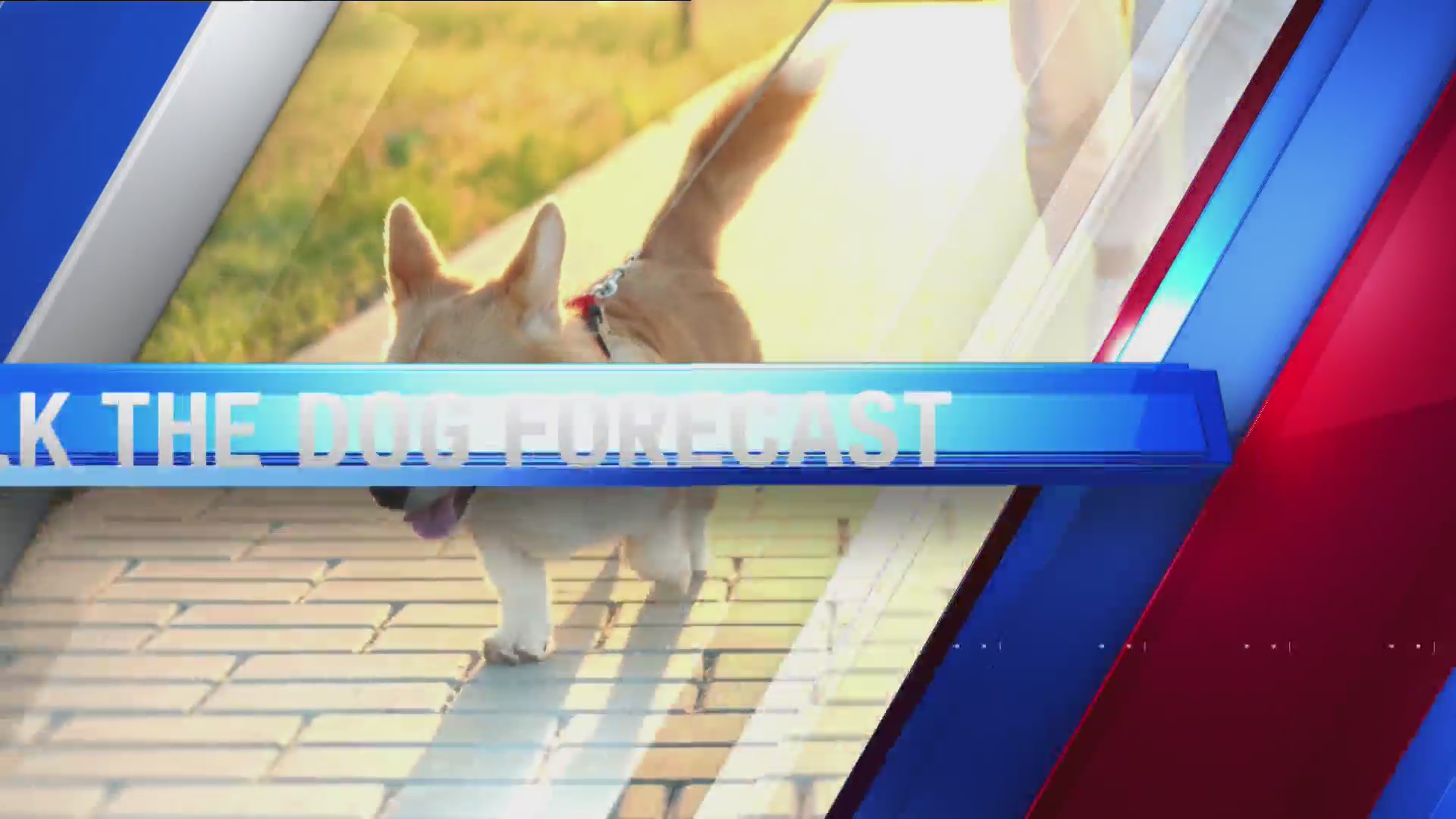 walk-the-dog-forecast-october-22-2025