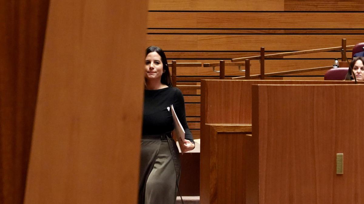 PP y Vox tumban una iniciativa del PSOE a favor del aborto en Castilla ...