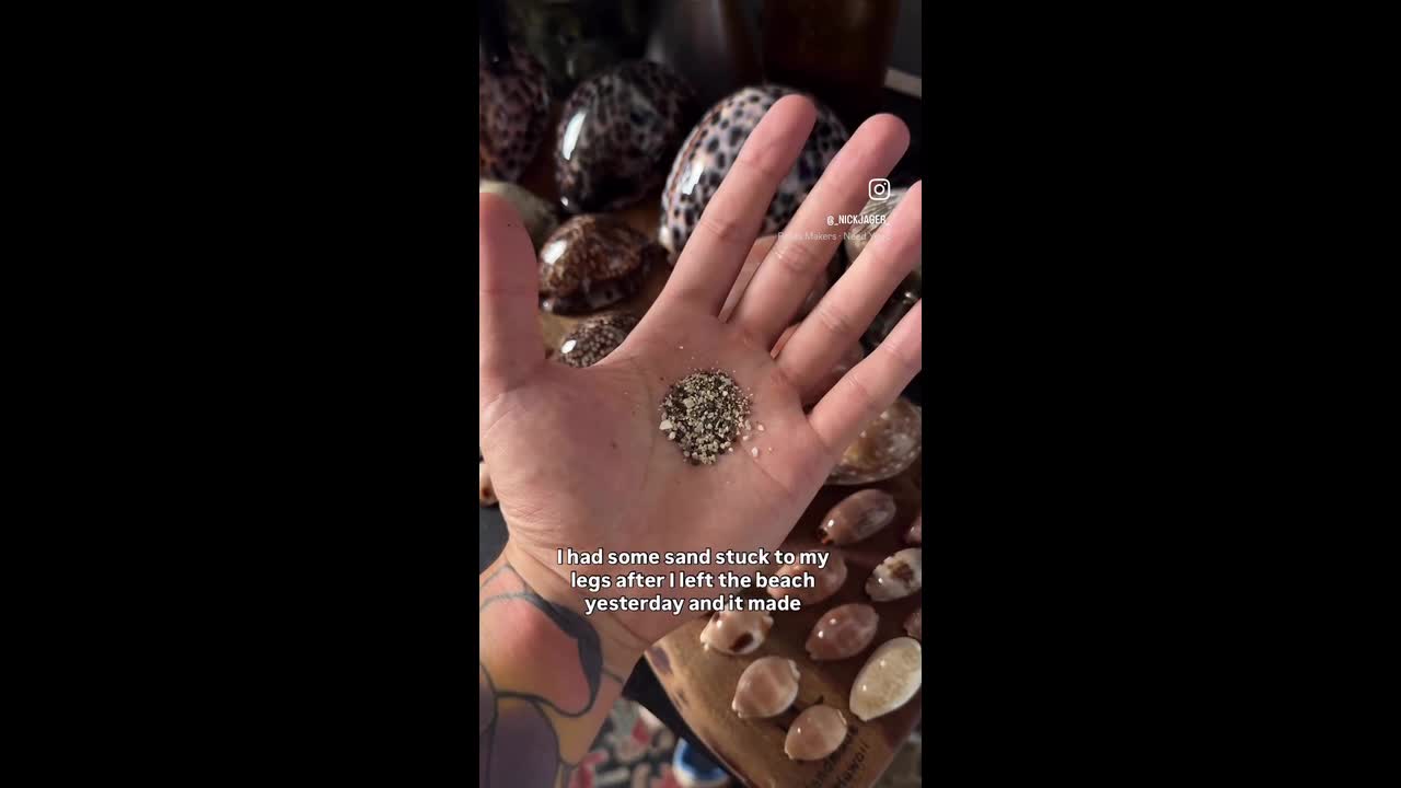 Hawaiian sand reveals micro-universe—Microscope video stuns 350k ...