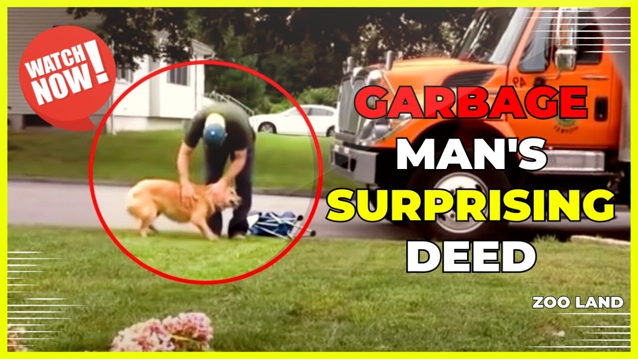 Garbage Man Caught on Camera – What He Did Will Shock You