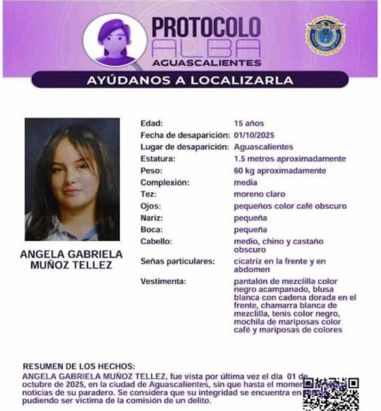 Laadolescente fue enganchada a través de redes sociales por un hombre de 33 años