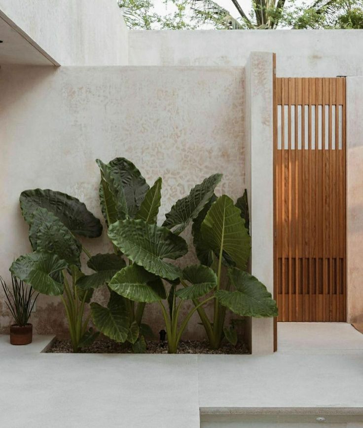 Cara Bikin Taman Depan Rumah Sederhana dan Indah 5 AA1OXtjZ