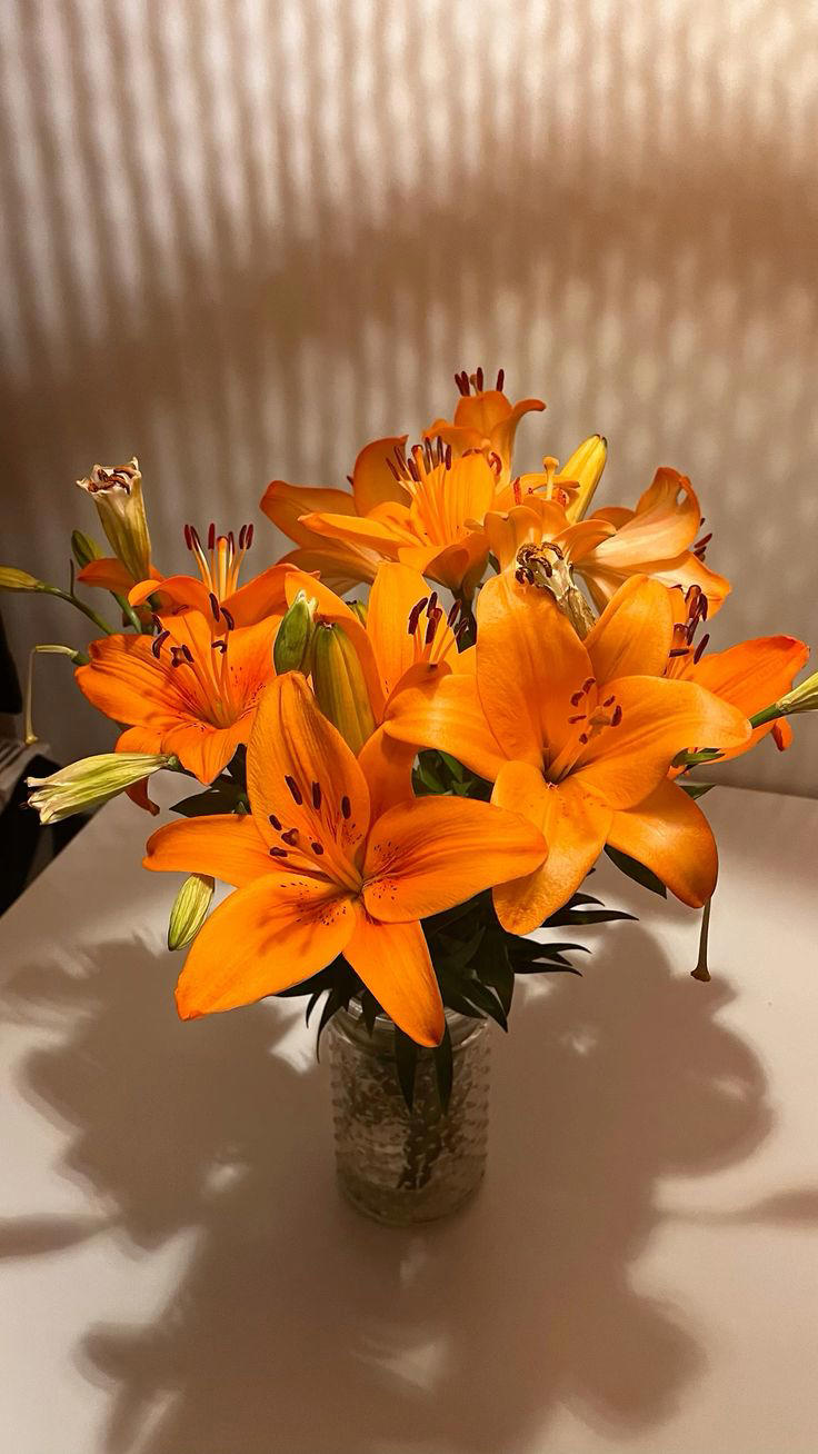 Manfaat Bunga Lily, Si Penyejuk dan Pemanis Ruangan