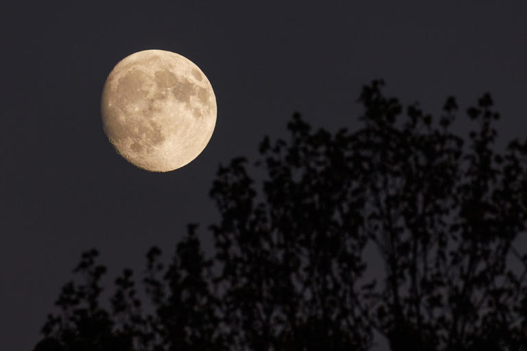 Do we have two moons now? The truth about '2 moons until 2083' rumors ...