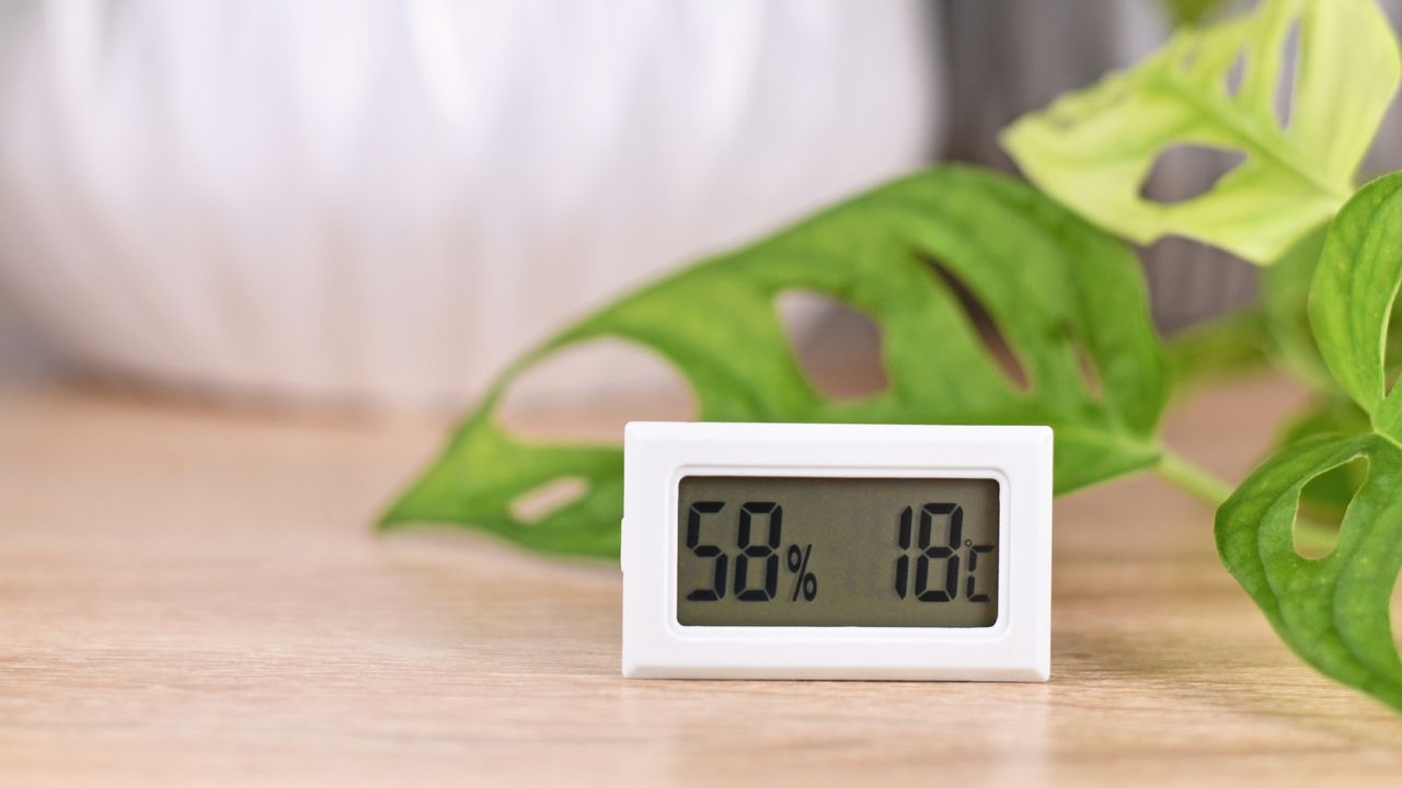 Need to know how to reduce humidity in a house? These are the steps you ...