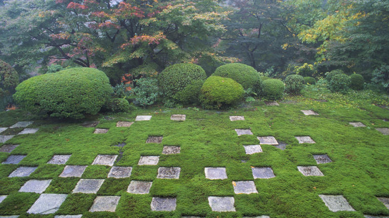 14 Square Garden Ideas Where Symmetry Meets Jaw-Dropping Greenery