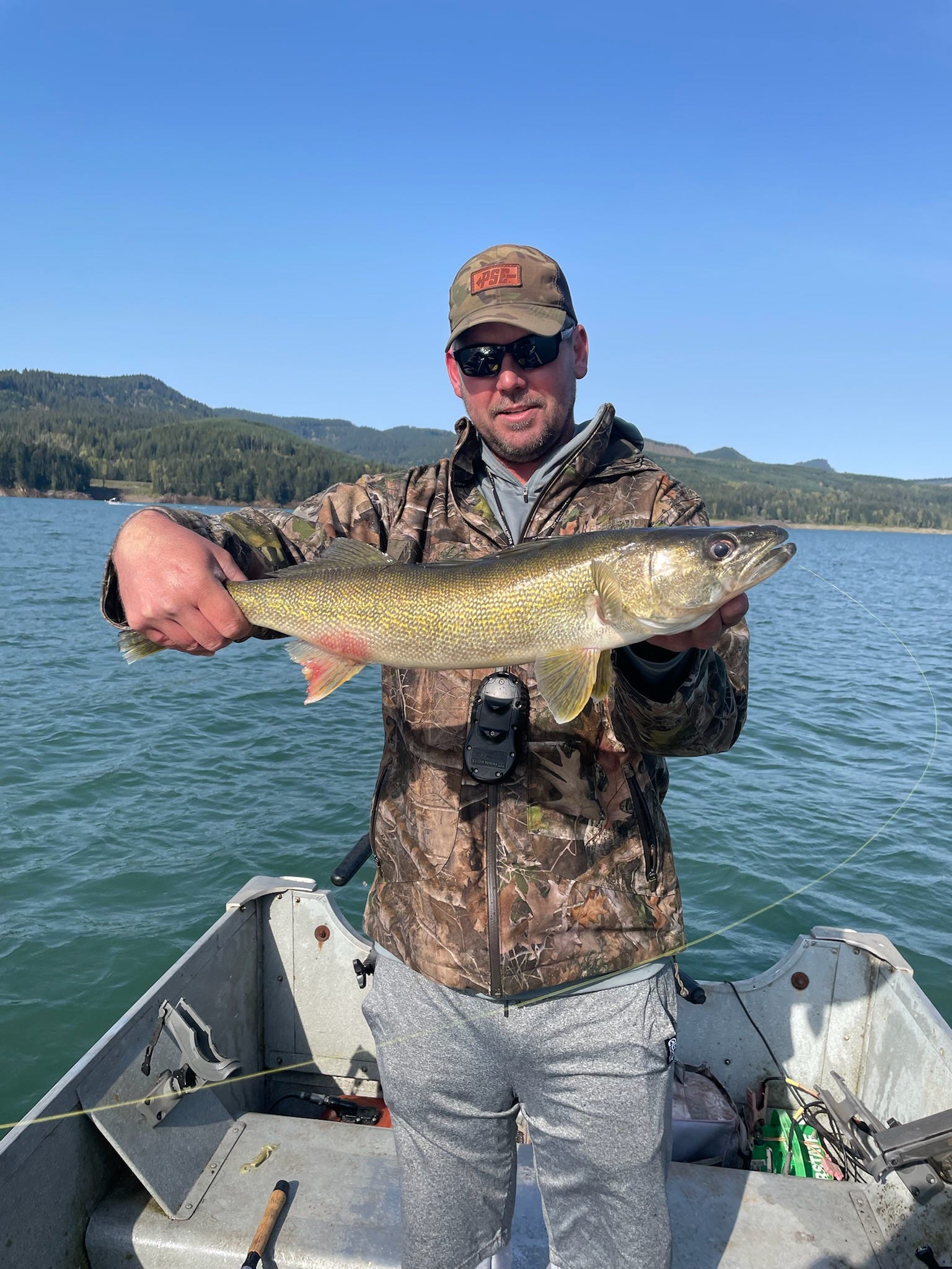Podcast details curious case of a delicious but notorious fish in the ...