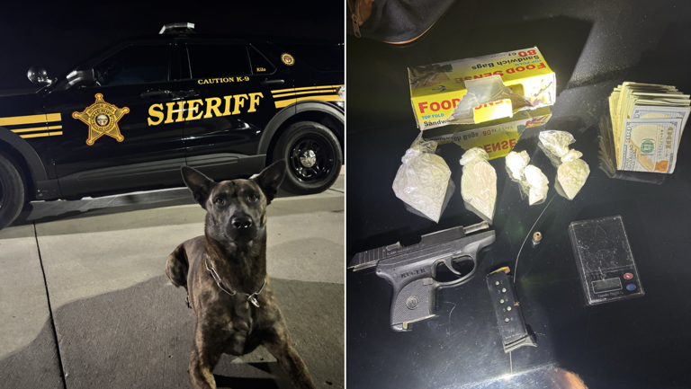 Deputies: Traffic stop leads to 'significant' seizure of drugs, weapon ...