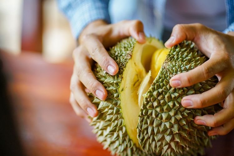 Respons Pemerintah Malaysia Terkait Usulan Durian Jadi Buah Nasional