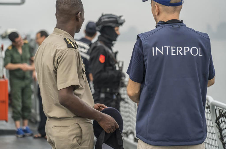 INTERPOL crackdown leads to 83 arrests across six African countries ...