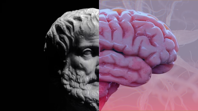 Is free will a fallacy? Science and philosophy explain.