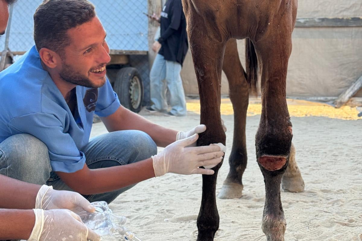 Gaza vet ‘killed by Israeli troops’ while returning home after ...