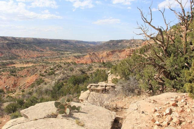 Rim Ranch along Palo Duro Canyon being saved for future generations