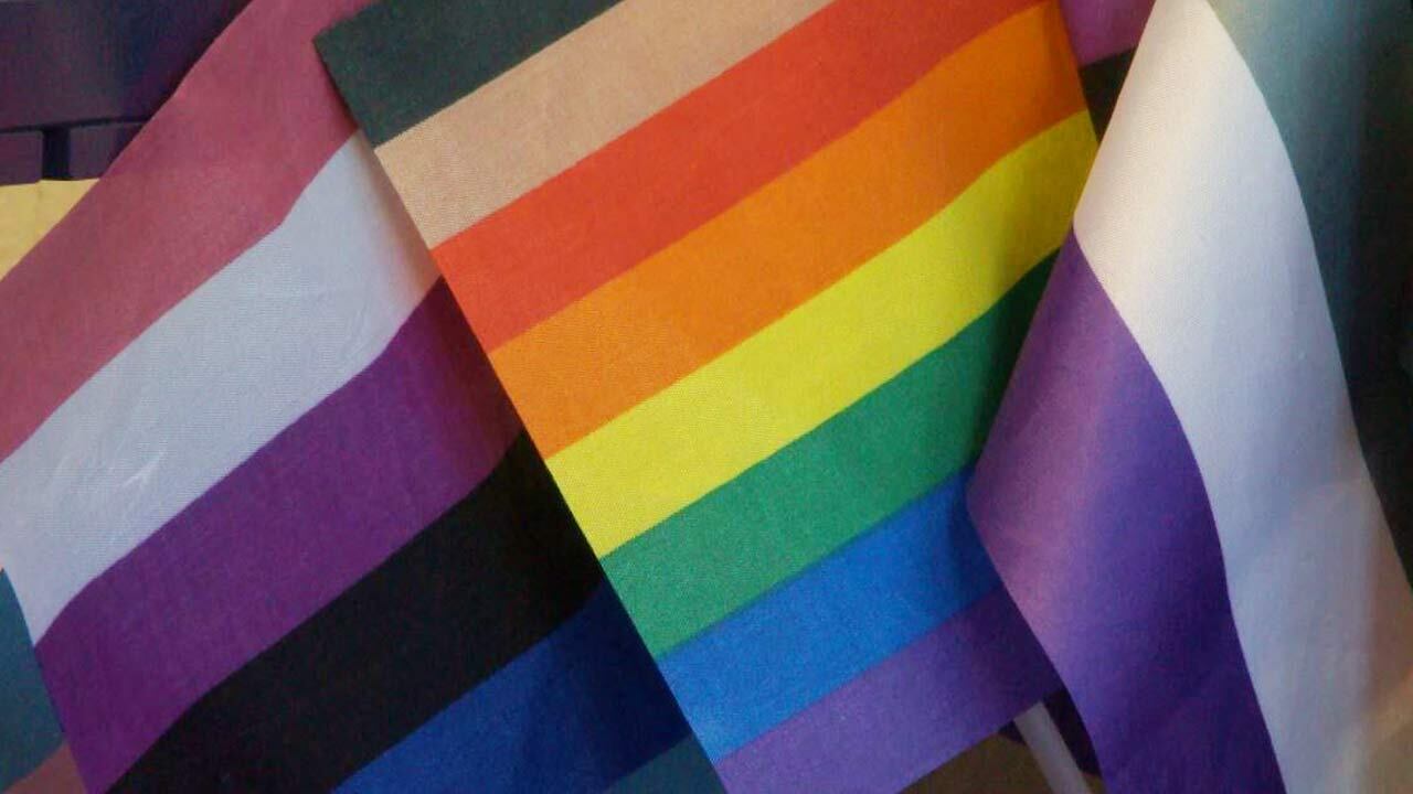 Tennessee school board approves policy to remove pride flags from schools