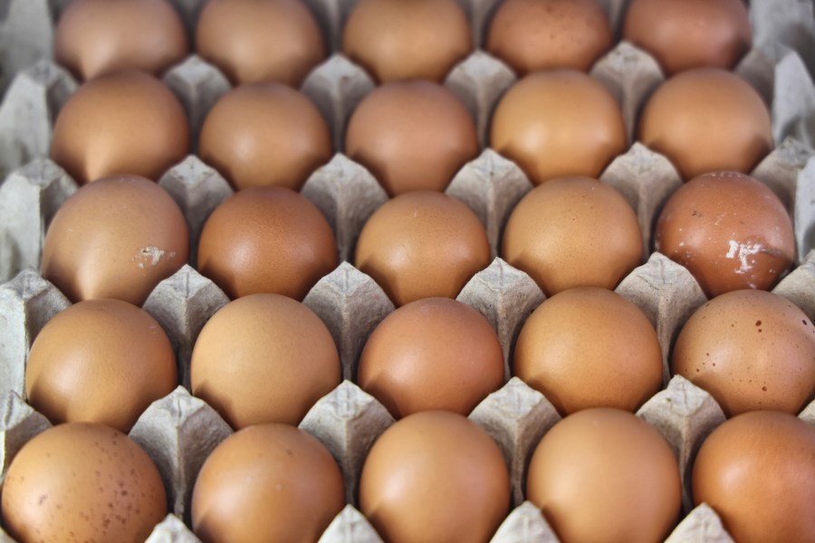 Egg recall expands over salmonella concerns