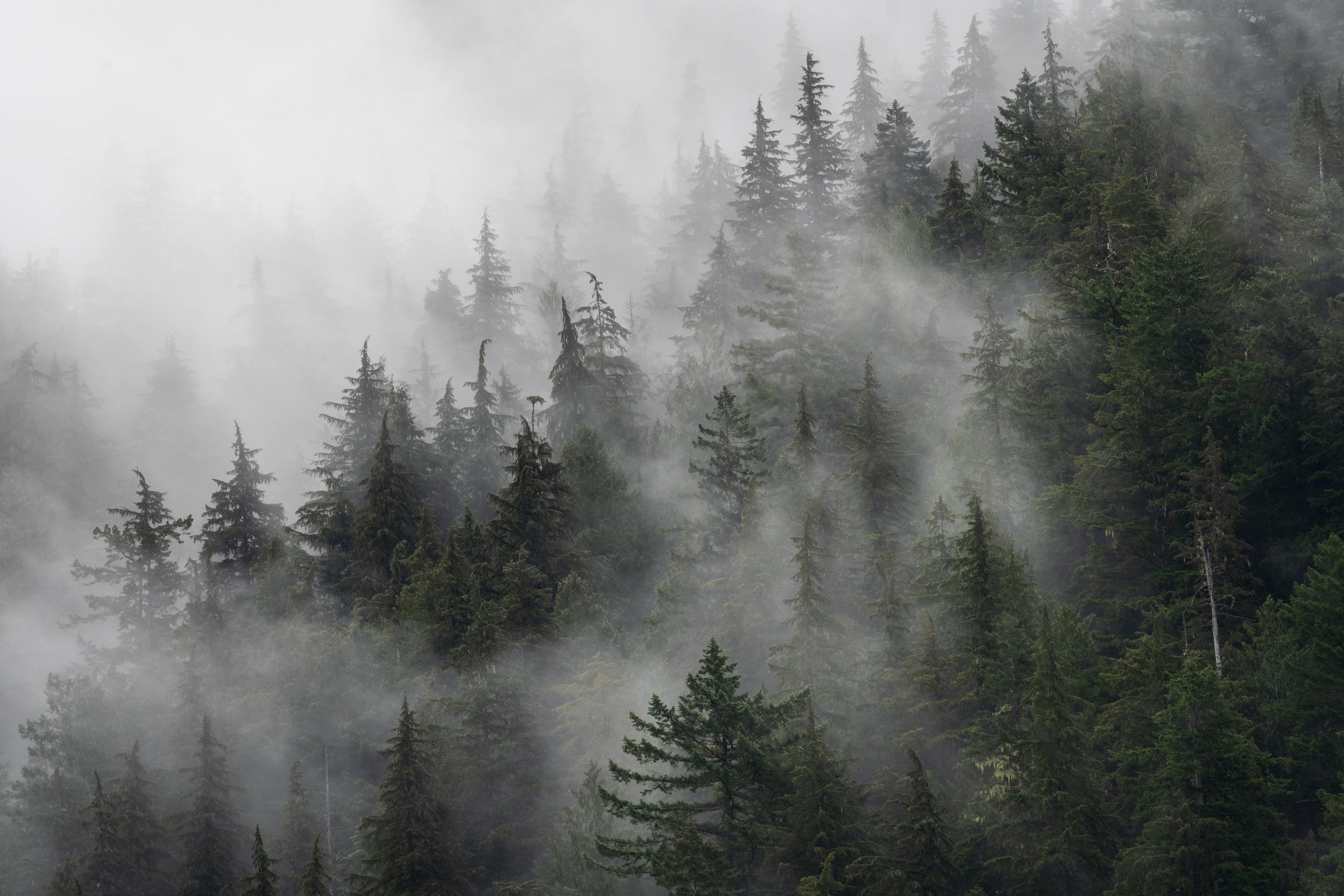 Atmospheric river could bring Sierra snow, valley rain to Northern ...
