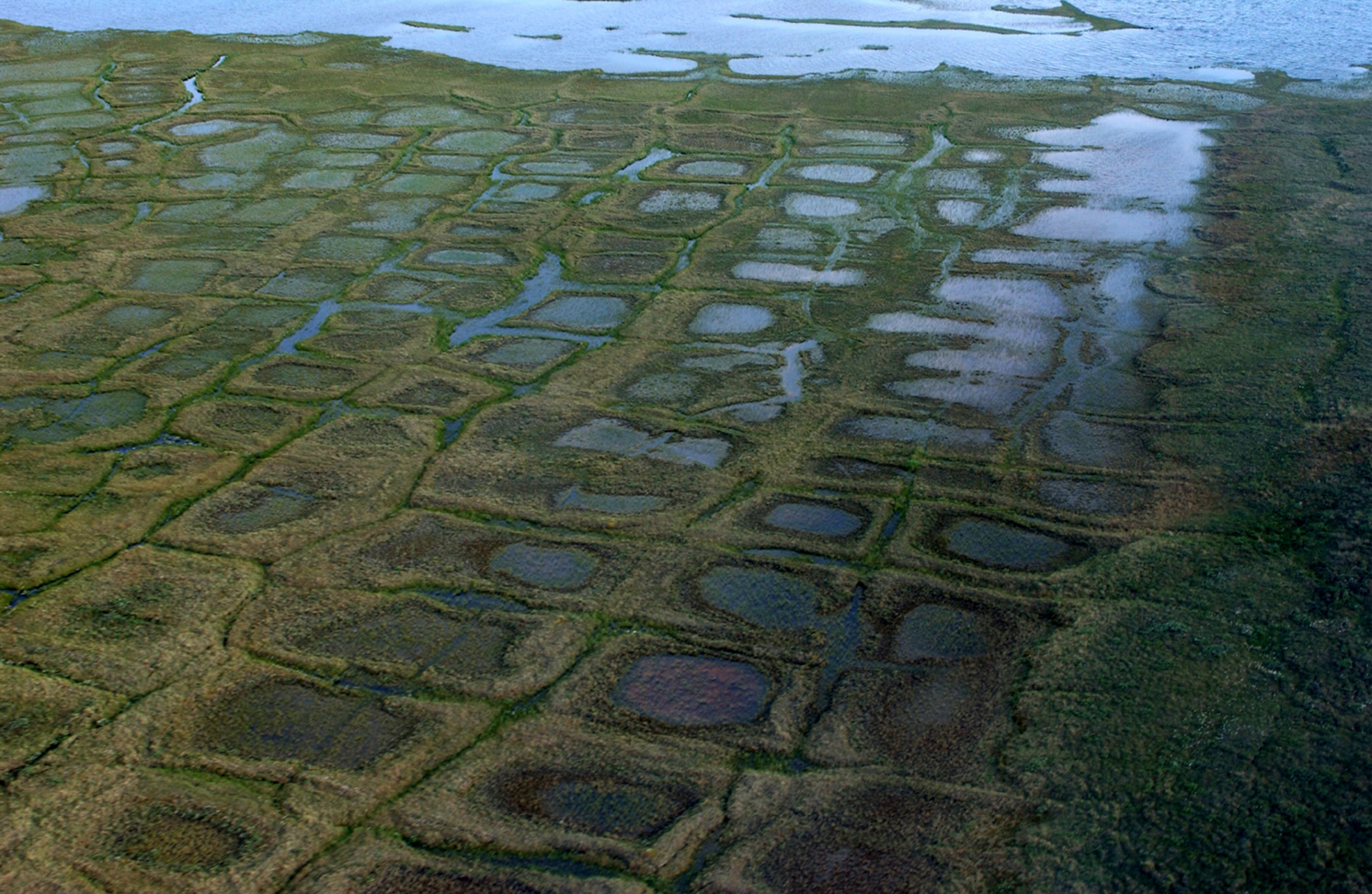 Trump administration cuts environmental reviews to fast-track Alaska ...