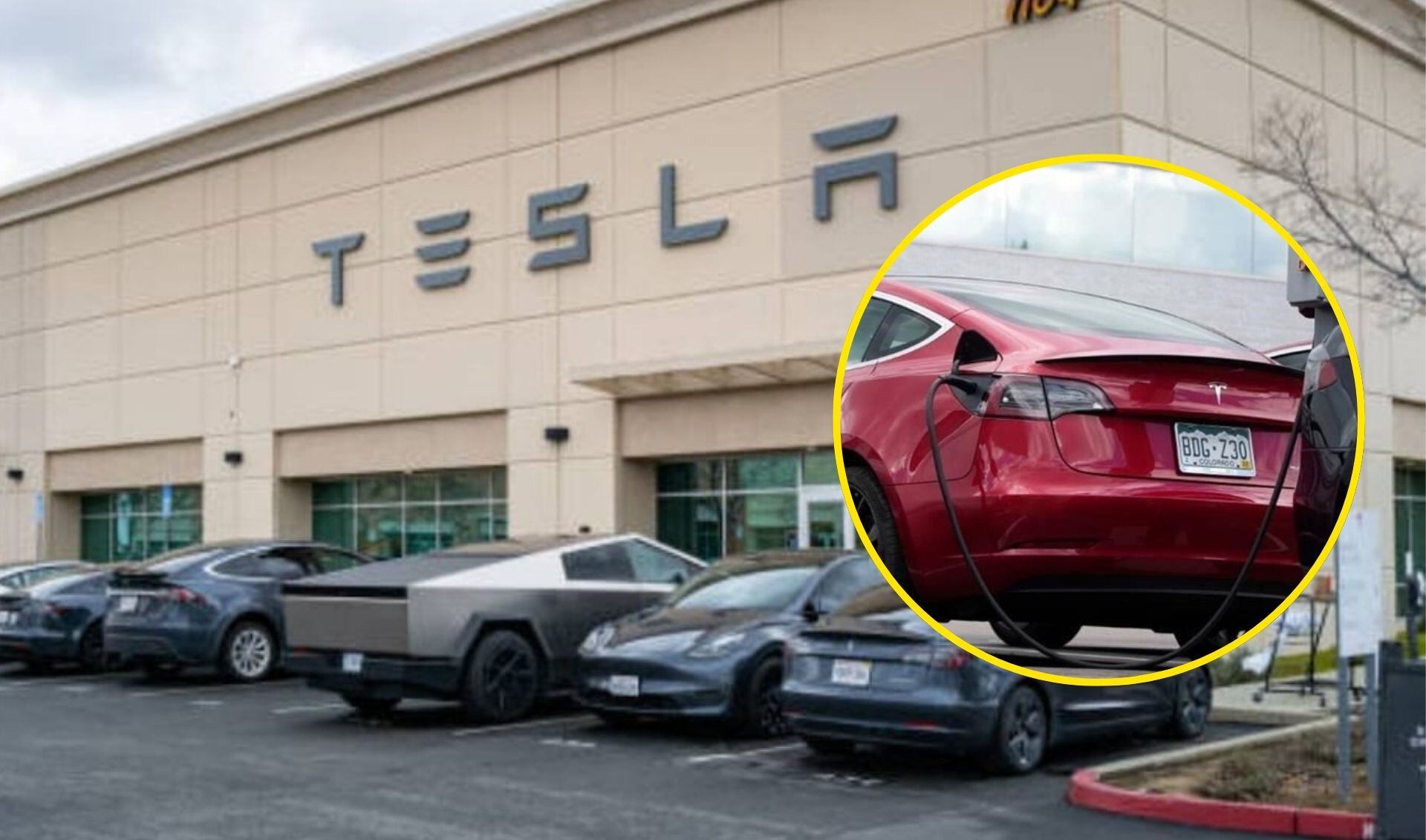 Tesla bajo investigación por incidentes de conducción autónoma defectuosa  mientras lanza versiones más baratas del Model Y y Model 3