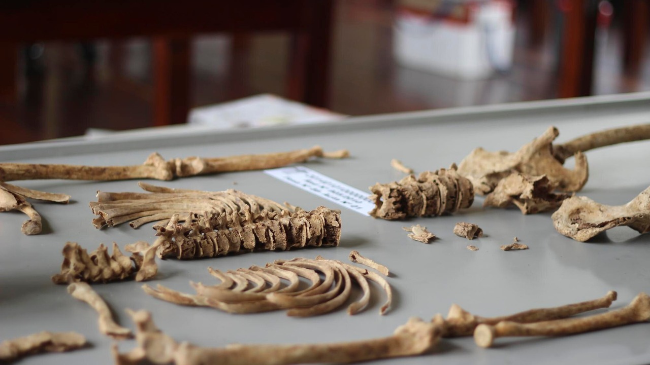 Ancient China artifacts reveal ritual bone modifications