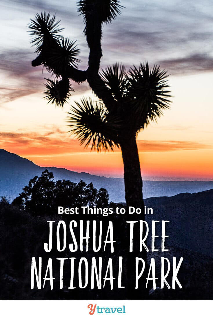 13-unmissable-things-to-do-in-joshua-tree-national-park-with-kids