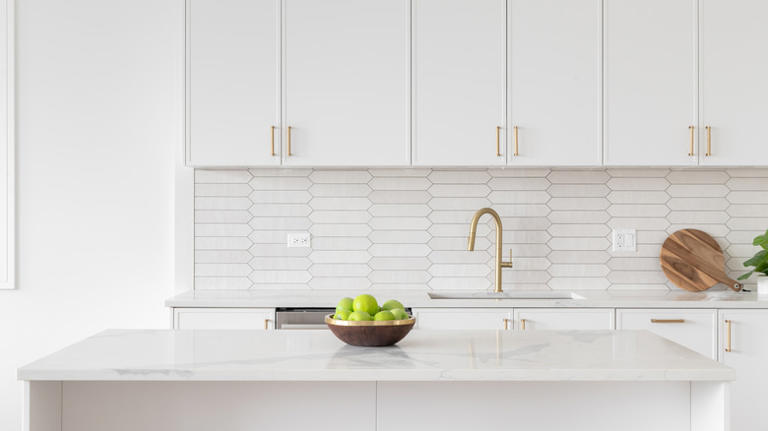 One Piece Kalender 2025 "aspergillus: Habitat, Structure, Reproduction And Life Cycle"