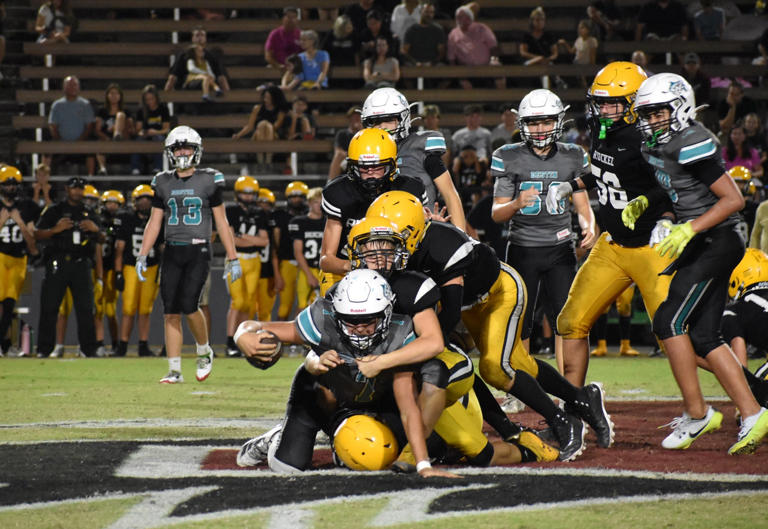 Destin Marlins fall to Ruckel Rams on the road, still in playoffs