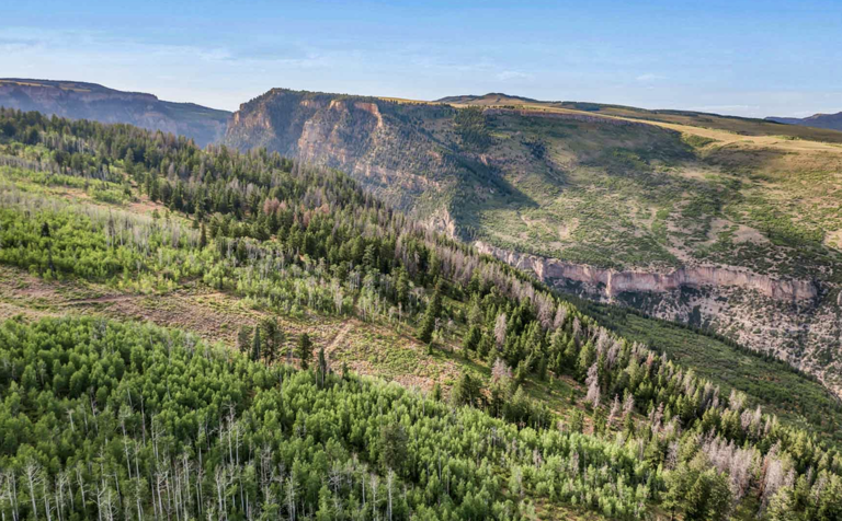 Visual Reference: Off Grid Mountain Ranch For Sale In Co Holds A