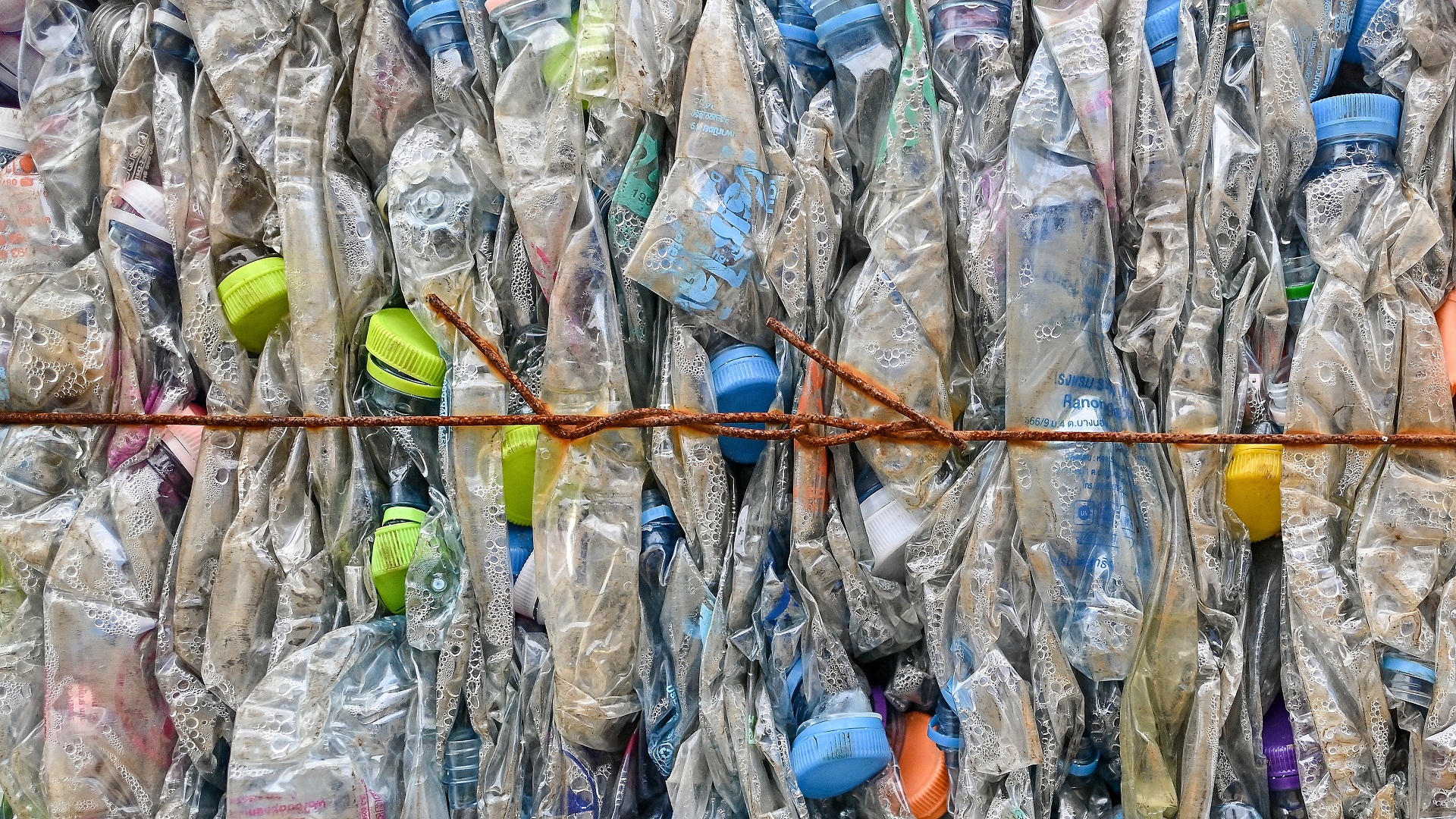 Scientists turn plastic into valuable chemicals using
sunlight and old battery acid