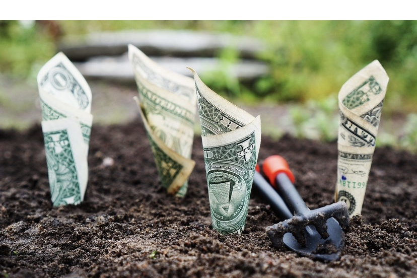 Mengenal Skema Ponzi: Investasi Ilegal dengan Nama Bisnis Menguntungkan