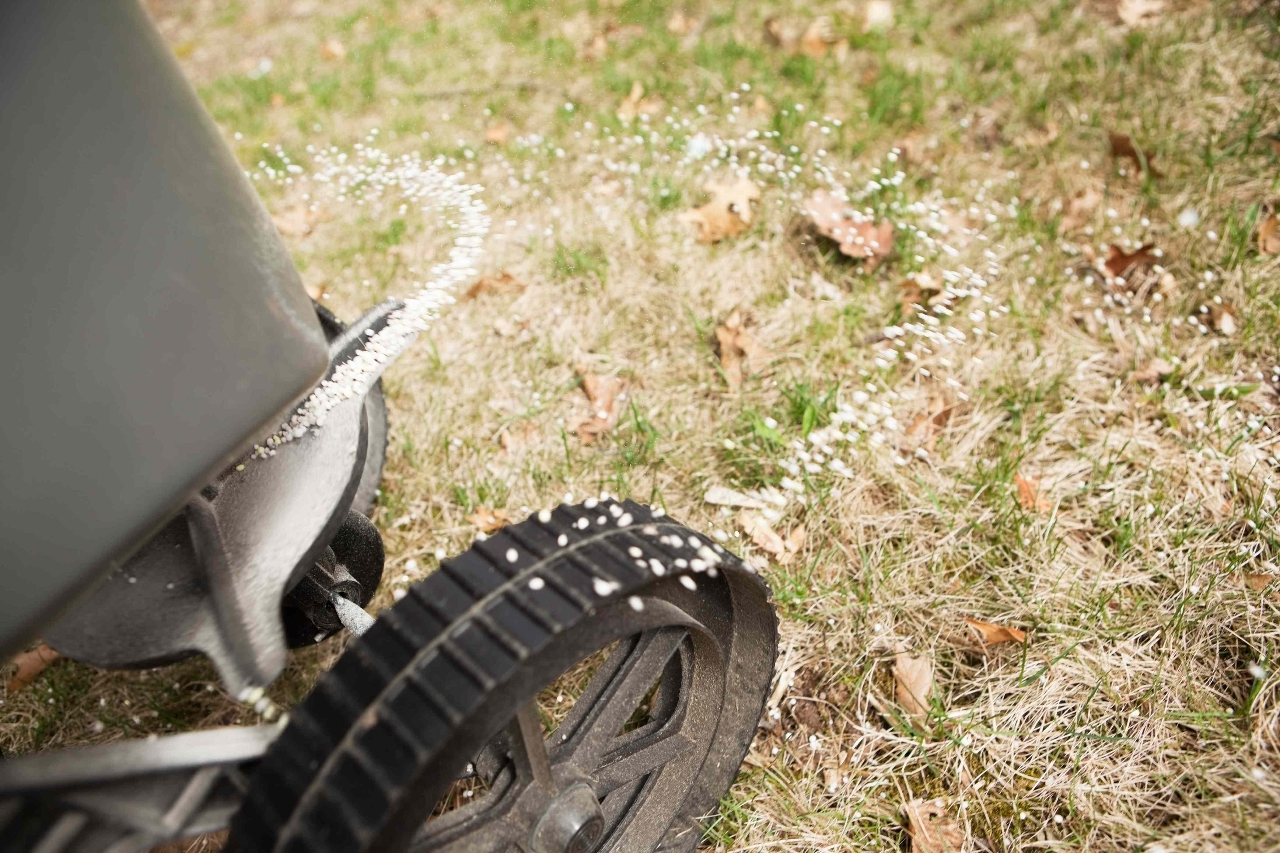 is-fall-a-good-time-to-fertilize-your-lawn