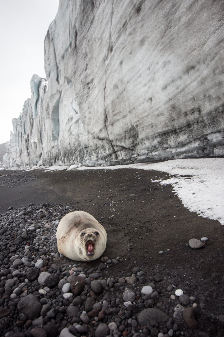 Estas fotos son lo más cerca que estarás de visitar estos lugares