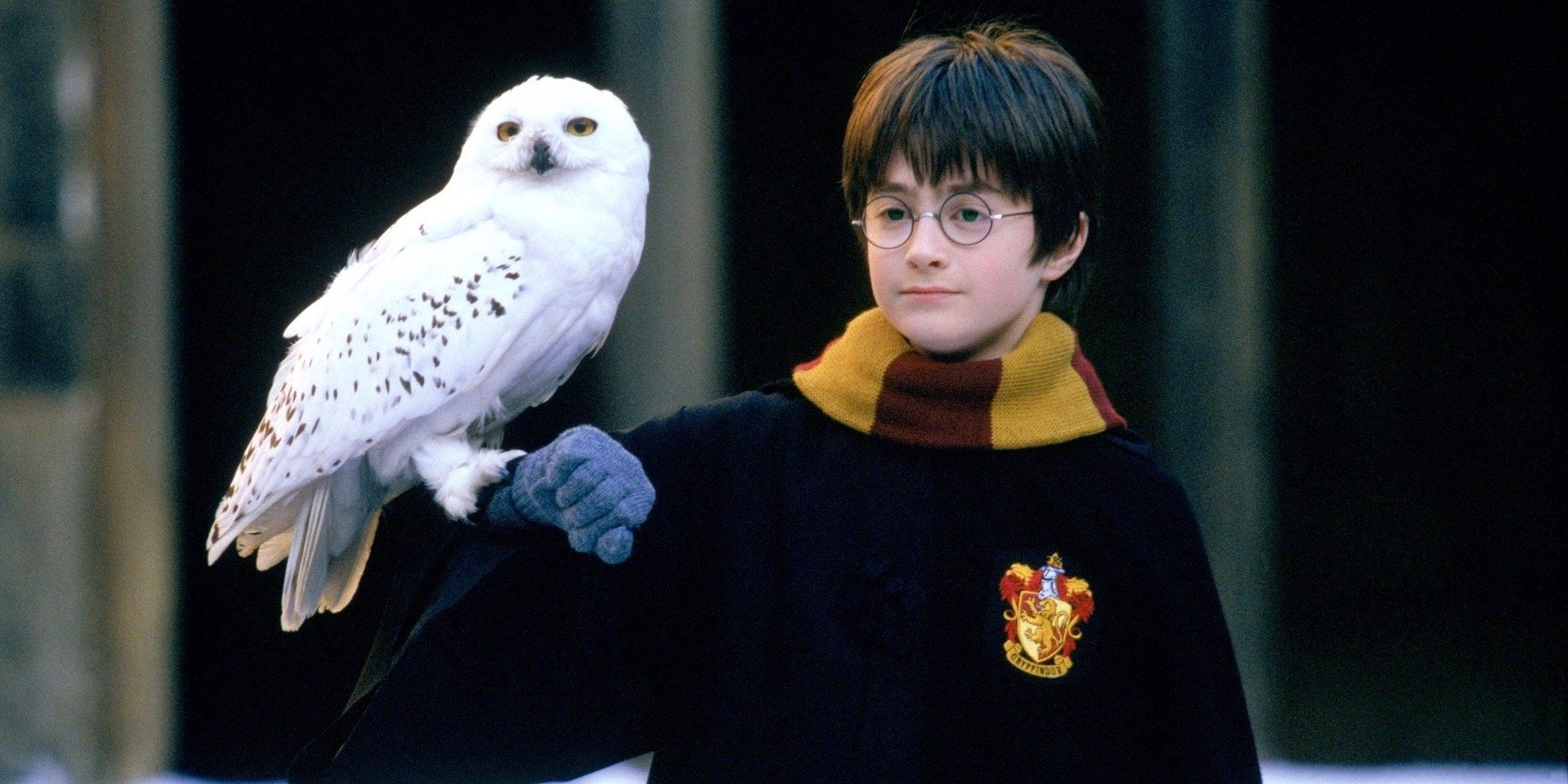 25 years later, ‘Harry Potter’ is heading back to Hogwarts in a major way ahead of HBO reboot
