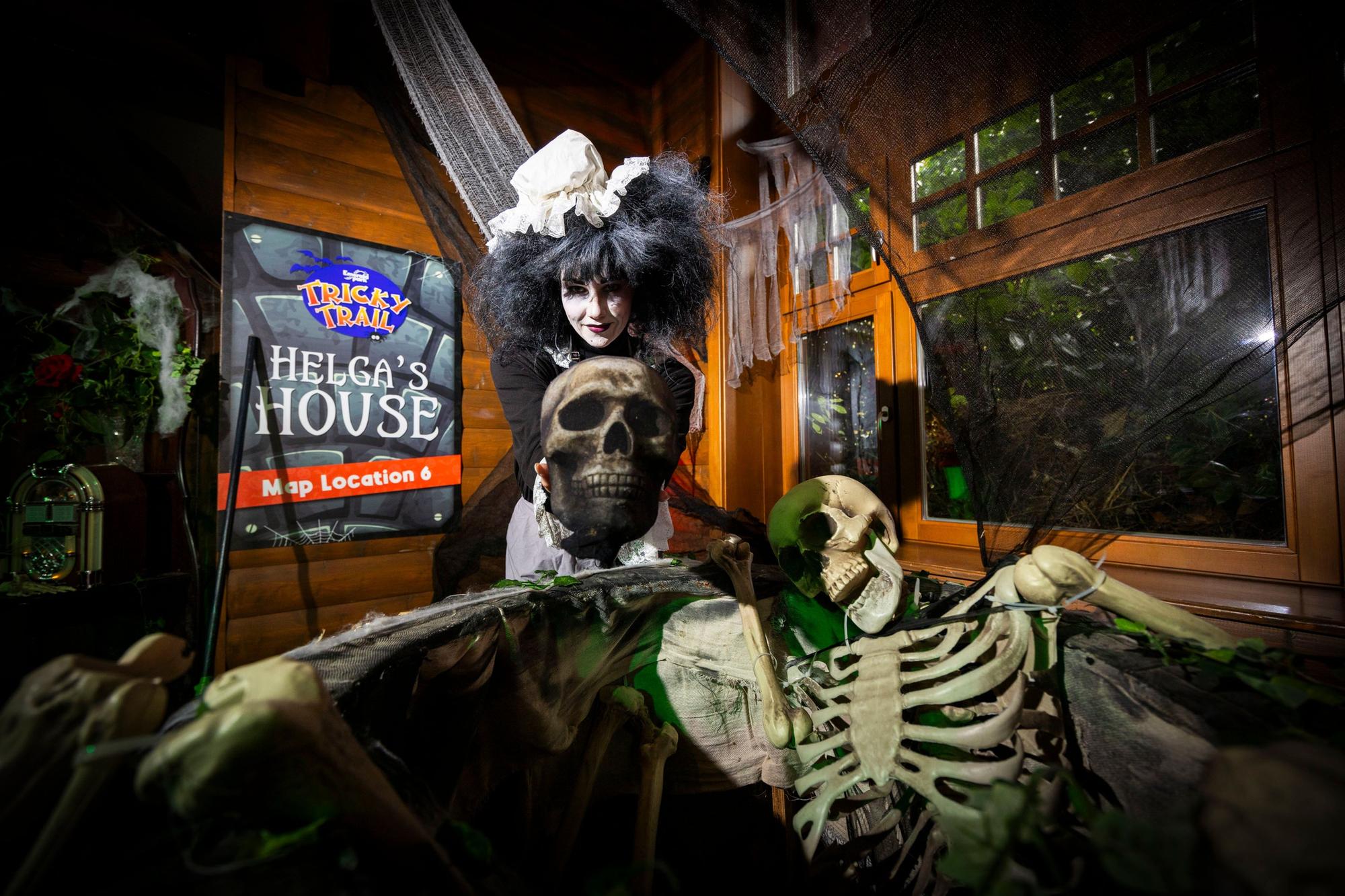 Emerald Park’s Spooktacular ‘Tricky Trail’ Family-Friendly Treasure ...