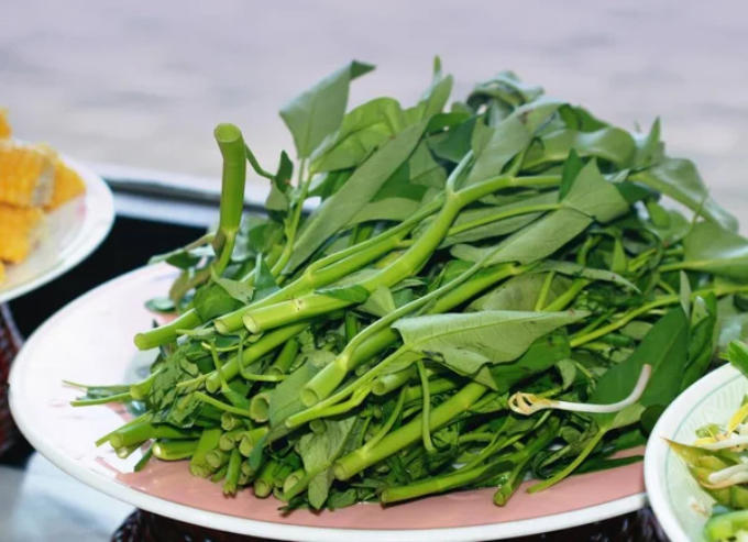 5 loại rau gi&uacute;p phục hồi, cải thiện gan nhiễm mỡ