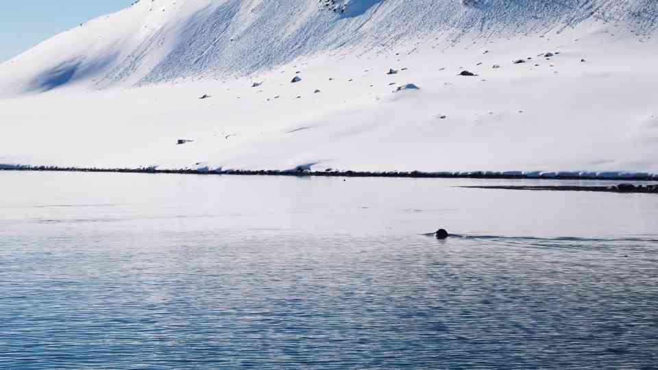 One Sailor, One Boat, and the Endless Winter Ocean