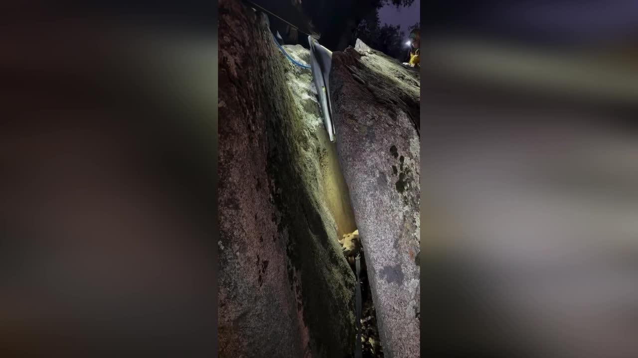 Family's pet goat stuck between two rocks is rescued in San Diego